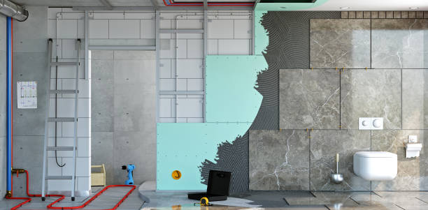 Best Basement Mold Removal  in La Follette, TN